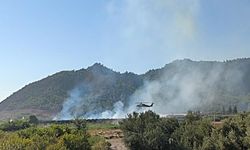 Muğla Dalaman'da yangın kontrol altına alındı