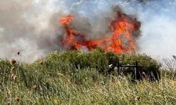 Datça'da makilik alanda korkutan yangın