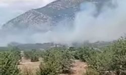 Denizli Acıpayam’da ormanlık alanda yangın çıktı: Ekipler müdahale etti!