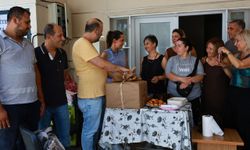 Efesli Kıtmir’den sokak canlarına sağlık desteği!