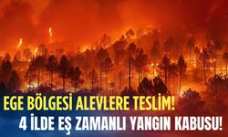 Ege Bölgesi alevlere teslim! Dev otoyol trafiğe kapatıldı, 4 ilde eş zamanlı yangın kabusu!