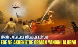 Türkiye alevlerle mücadele ediyor! Ege ve Akdeniz’de orman yangını alarmı: İl il son durum!