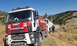 Kütahya'da hayvanlar telef oldu
