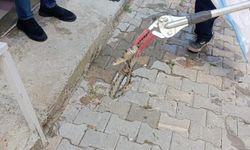Afyonkarahisar'da evde yılan paniği: İtfaiye müdahale etti