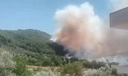 Muğla’da bir orman yangını daha: Fethiye Göcek’te dumanlar yükseldi