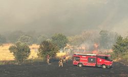Foça yangınında askeri cephanelikler için alarm durumuna geçildi