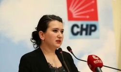 CHP'li Gökçe Gökçen'de Deniz Göktaş çıkışı: Susacak mıyız?