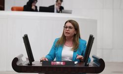 Denizli Milletvekili Karaca, TBMM’de Tekstil Sektörünü Değerlendirdi