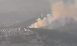 İzmir Bayraklı'da orman yangını!