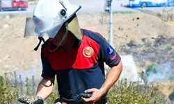 İzmir İtfaiyesi bukalemunu hayata döndürdü