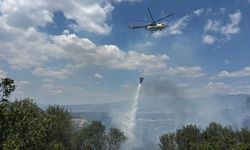 İzmir Kemalpaşa'daki yangında 2 gözaltı