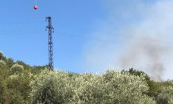 Kiraz'daki yangın kontrol altına alındı