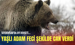İzmir'de kahreden ölüm! Uyuduğu sırada ayı saldırdı