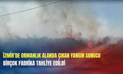 İzmir’de ormanlık alanda çıkan yangın sonucu birçok fabrika tahliye edildi