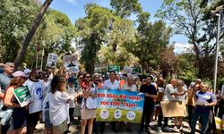 İzmir'de Suat Seren Hastanesi'ndeki ağaç kesimine tepki!