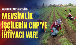 Kadın kolları sahaya indi: Mevsimlik işçilerin CHP'ye ihtiyacı var!