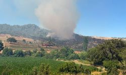 Muğla Kavaklıdere'deki orman yangını devam ediyor