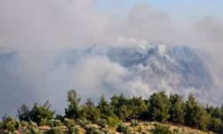 Pamukkale'deki yangın kısmen kontrol altında