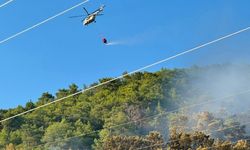 Muğla Ortaca'daki orman yangını kontrol altına alındı