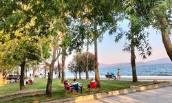 Muğla'da gölge bile 43 derece