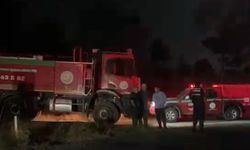 Yangın ormana sıçramadan söndürüldü