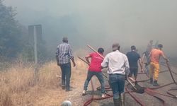 Aydın Kuyucak'ta yangın!