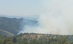 Aydın Kuyucak'ta orman yangını: Alevlere havadan ve karadan müdahale!