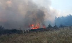 Muğla'daki yangında 1 şüpheli gözaltına alındı
