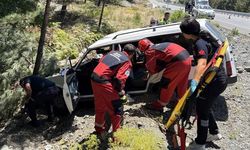 Muğla-Denizli yolunda kontrolden çıkan araç ağaca çarptı: 2 yaralı!