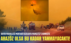 Muğla Seydikemer’de alevler evlere dayandı! Mahalle muhtarından acil çağrı: "Köy gidiyor!"