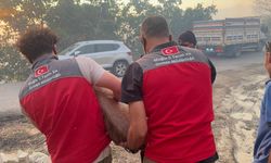 Muğla Seydikemer’deki yangında can dostlar unutulmadı