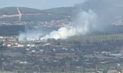 Muğla'da orman yangını: Ekipler alevlere müdahale ediyor