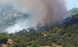 Muğla Kavaklıdere’de orman yangını: Ekipler müdahale ediyor