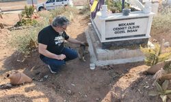 Nankör deyimini tarihe gömdü: Ölen sahibinin mezarı başından bir an olsun ayrılmıyor!