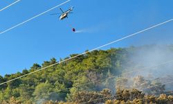 Muğla Ortaca'daki orman yangınında gözaltına alınan şüpheli serbest bırakıldı