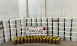 Salçalara ve zeytinlere el konuldu