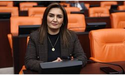 Sevda Erdan Kılıç: Siyaseti para için yapmadık