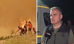Muğla Valisi Akbıyık'tan Seydikemer yangını açıklaması