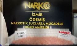 Narkotikten şafak operasyonu: Binlerce hap ele geçirildi; 30 tutuklama