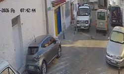 Sokak kedilerini ezdi, arkasına bakmadan kaçtı!