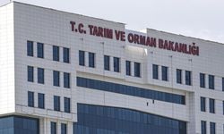 Tarım ve Orman Bakanlığı 1874 sözleşmeli personel alacak! Başvurular ne zaman, şartları neler?