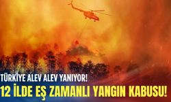 Türkiye alev alev yanıyor: 12 ilde eş zamanlı yangın kabusu!