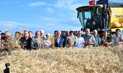 Vali Köşger Acıpayam’da bereket hasadına katıldı