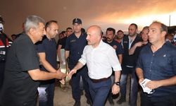 Aydın Valisi Varol yangın bölgesinde