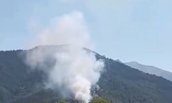 Denizli Karcı Dağı'nda başlayan orman yangını kontrol altında
