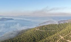 Muğla Milas’taki orman yangınında alevler büyük ölçüde kontrol altına alındı