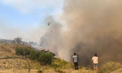 Balıkesir, Seydikemer ve Antalya yangınlarında son durum: Hangi yollar kapalı, nereler tahliye edildi?