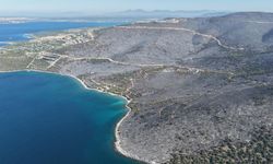 Yeşil vatan küller altında: Milas’taki yangının acı bilançosu dron kamerasına yansıdı!