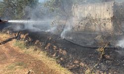 Köşk’te zeytinlik yangını panik yarattı
