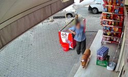 Karşıyaka'da pitbull saldırısına uğrayan kadın parmağını kaybetti